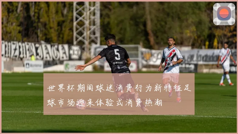 世界杯期间球迷消费行为新特征足球市场迎来体验式消费热潮